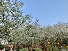 -唐城墙遗址公园