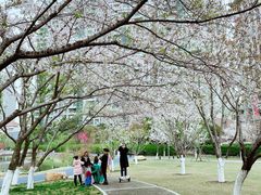 -西北湖绿化广场