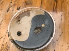芝麻核桃鸳鸯糊-芝麻糊世家(西华店)