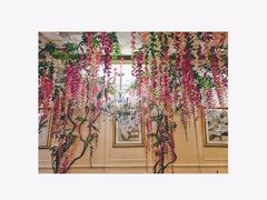 -花舍·新派粤菜·西餐·下午茶(亚运村·鸟巢店)