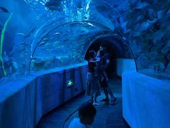 -芜湖新华联大白鲸海洋公园