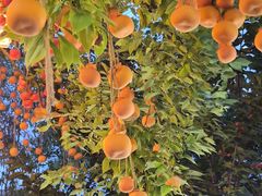 -田园印象·成都土菜院子(华阳店)