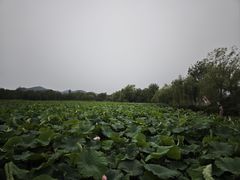 -云龙湖旅游景区