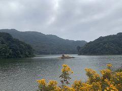 -广州市石门国家森林公园