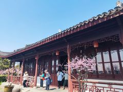 -上海海湾国家森林公园