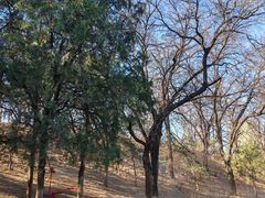 -元大都城垣遗址公园