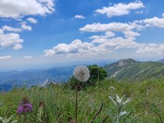 -秦岭风景区