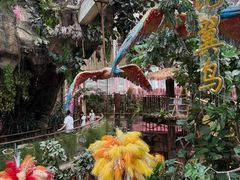 -正佳雨林生态植物园