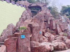 -温州乐园