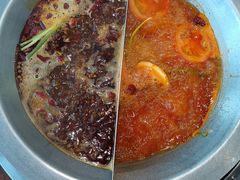 -楠火锅(哈尔滨金爵万象店)