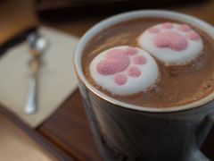 猫爪可可-黑胶星球(华发中城商都店)