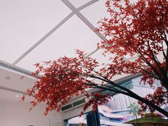 -艾薯夫妇Aysh(福田星河COCOPark店)