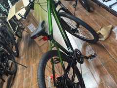 -道路口单车爱瓦士dahon大行