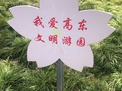 -高东镇樱花园
