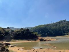 -东莞市大岭山森林公园