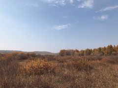 -塞罕坝国家级自然保护区