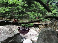 -洛阳白云山景区