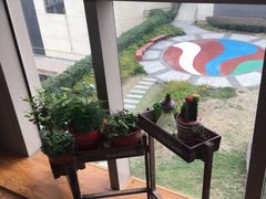 -Dark Horse·黑马蛋糕·低脂·低糖淡奶(金匙望湖大厦店)