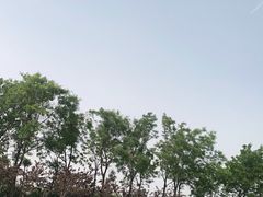 -东疆理想海岸沙滩景区