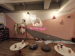 -浣熊柯尔鸭土拨鼠·电玩咖