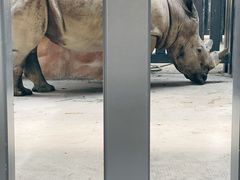 -武汉动物园