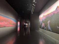 -罗红摄影艺术馆