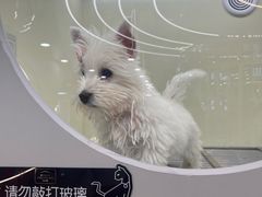 -FAELING PETS美天灵宠物(合生汇店)