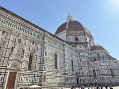 -圣母百花大教堂穹顶