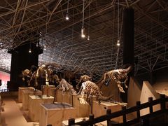 -世界恐龙谷景区