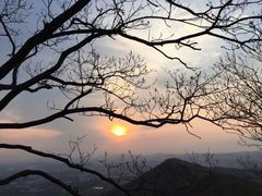 -紫金山山顶公园