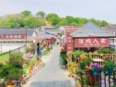 -巢湖姥山岛