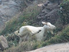 -东极岛景区