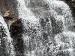 -海南热带雨林国家公园吊罗山景区