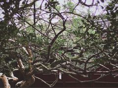 -水绘园