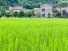 -高荡千年布依古寨旅游景区