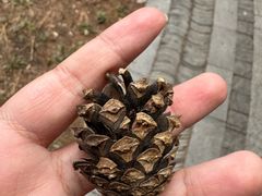 -哈尔滨师范大学(松北校区)