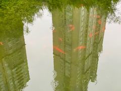 -中山公园