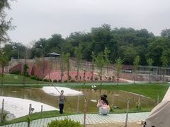 -WE ME 伴山营地·城市露营·团建策划