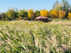 -永定河休闲森林公园