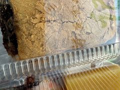 -清真·白记年糕(牛街北口店)