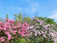 -杭州城北体育公园