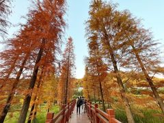 -广州市石门国家森林公园
