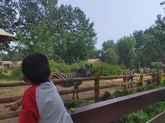 -大连森林动物园