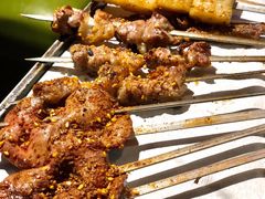 羊肉串-功夫怪兽·烧烤(珠江路店)