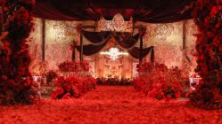 -DNA Wedding 婚礼记(上海店)