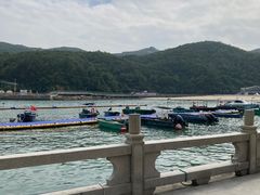 -东澳岛