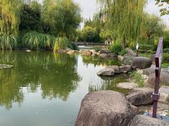 -新虹桥中心花园