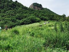 -白草畔自然风景区