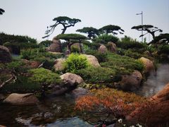 -罗红摄影艺术馆