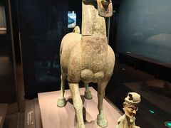 -广西壮族自治区博物馆